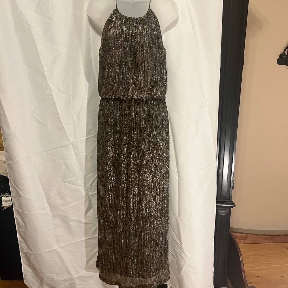 Metallic long dress. Stunning! En Focus. Size 6.